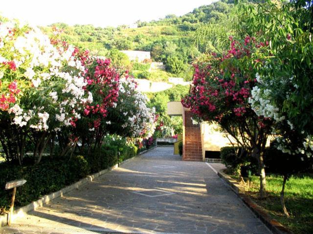 Villaggio Hotel Club Calanovellamare Piraino Εξωτερικό φωτογραφία